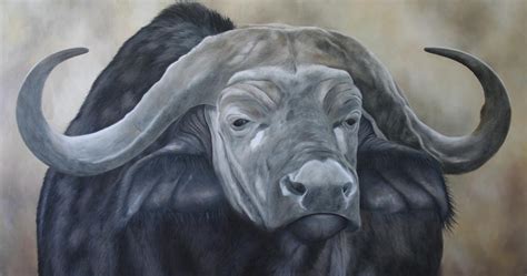 Clive Meredith Wildlife Art: Cape Buffalo painting progression