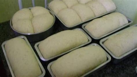 Pão Caseiro de Liquidificador Sem Sovar igualzinho da padaria tem