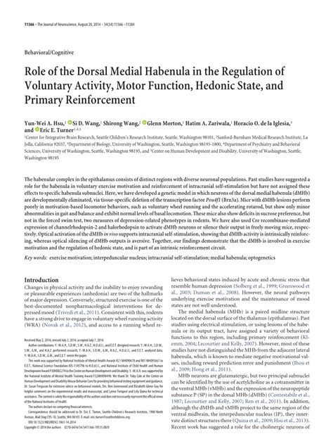 Role Of The Dorsal Medial Habenula In The Regulation Of Voluntary