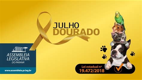 VEM AÍ O JULHO DOURADO YouTube