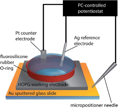 Schematic Of The Experimental Set Up For Macroscale Electrochemical