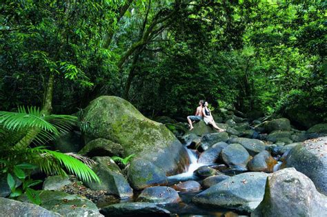 The Great State Of Queensland Jungle Tours