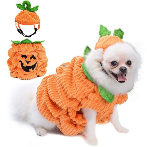 22 DISFRACES Para PERROS Muy Divertidos Para HALLOWEEN