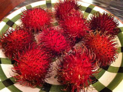 A Very Hairy Fruit Rambutan Oh Snap Lets Eat
