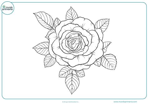 Dibujos Para Colorear De Flores Y Paisajes