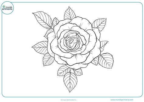 Dibujos De Flores Para Colorear Bonitas Y F Ciles De Pintar