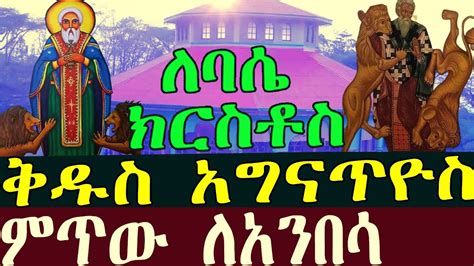 ቅዱስ አግናጥዮስ ቅዱስ አግናጥዮስ ለባሴ ክርስቶስ ቅዱስ አግናጥዮስ ምጥው ለአንበሳ የቅዱሳን ታሪክ መንፈሳዊ