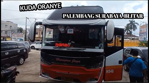 HARAPAN JAYA H548 TRIP TERPANJANG KUDA ORANYE FULL SEWA MENUJU