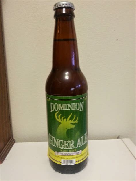 Soda Trek Review Dominion Ginger Ale