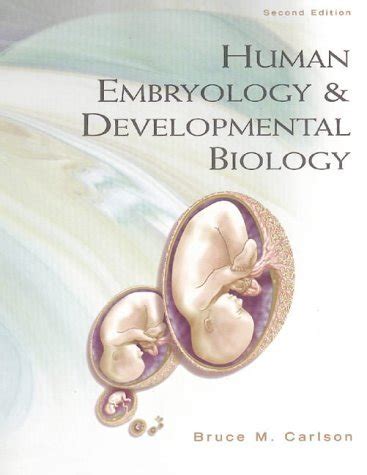 Human Embryology And Developmental Biology Medicine