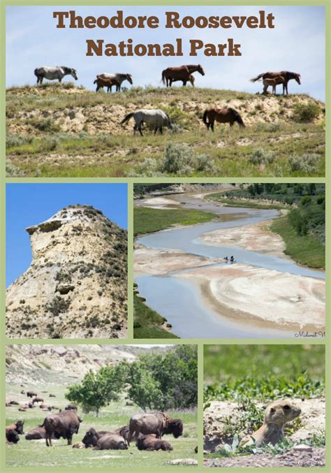 Driving Through Theodore Roosevelt National Park Midwest Wanderer