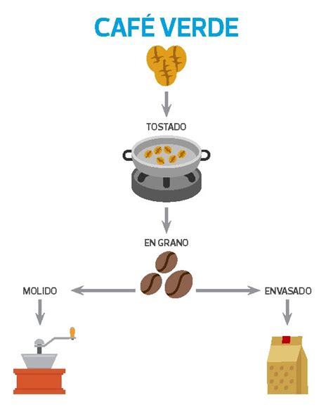 Proceso Productivo Del Café