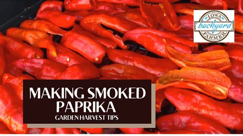 Making Smoked Paprika Powder Youtube