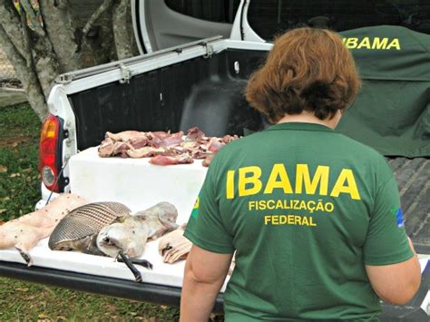 G Ibama Apreende Animais Silvestres Abatidos Para Comercializa O No