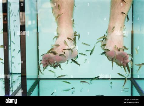 Foot Fish Spa