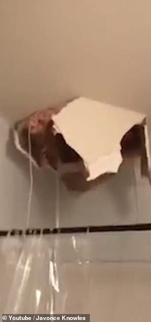 Mother Falls Through The Ceiling And Lands In The Bathtub Daily Mail