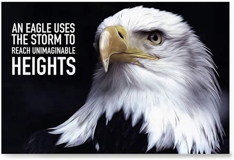 Amazon EzPosterPrints Most Popular Eagle Theme Quote Posters