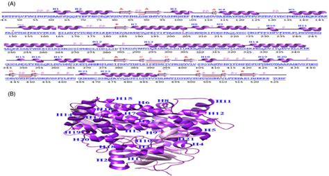 Representation Of 2d And 3d Structure Of Cyp51 A The 2d Structure Of Download Scientific