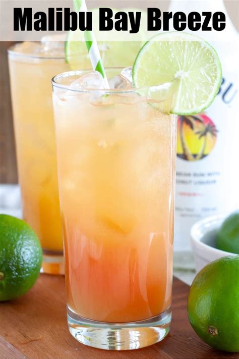 Malibu Bay Breeze Recipe With Vodka Recipe Loving