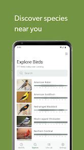 Merlin Bird Id By Cornell Lab Apps Op Google Play