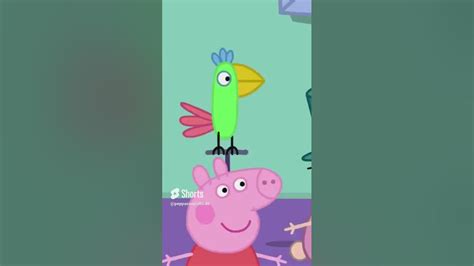 Peppa Pig Polly Parrot Shorts Youtube