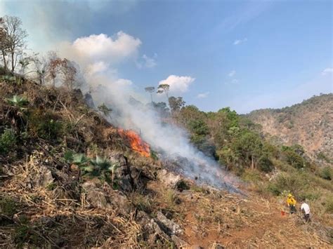 Conafor Reporta 53 Incendios Forestales Activos En 16 Estados Del País