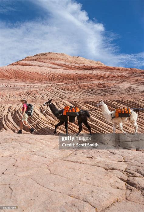 Grand Staircaseescalante National Monument Utah Usa Woman And Pack