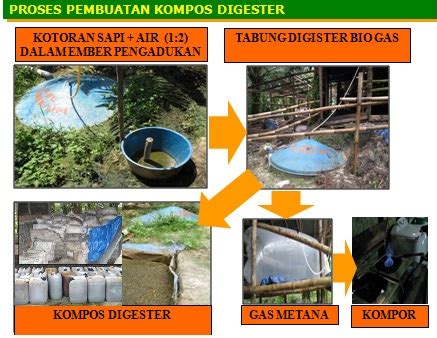 Kata Mutiara Cinta Cara Membuat Biogas Dari Kotoran Sapi