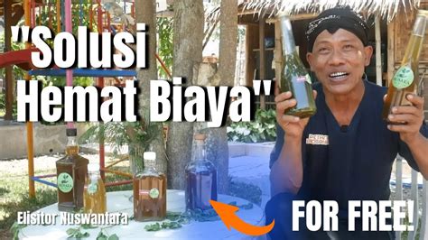 Revolusi Pertanian Bagaimana Biosaka Mengubah Cara Kita Bertani