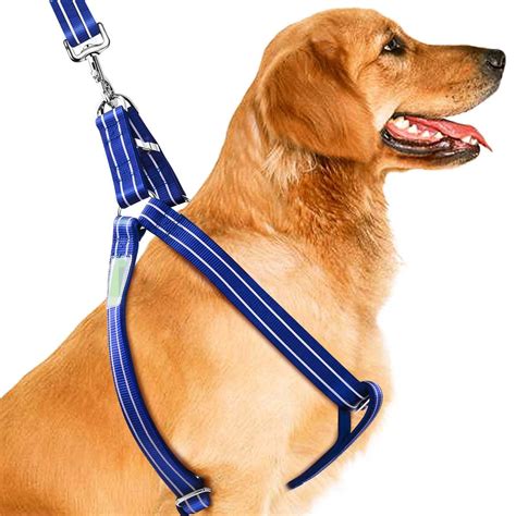 Dog Harness Leash Set, Heavy Duty Metal Buckles Halter Leash for Large ...