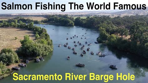 Salmon Fishing Californias World Famous Barge Hole Youtube