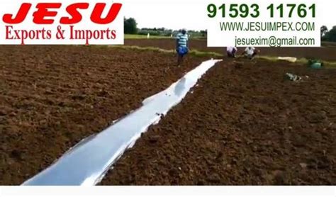 Row Mulching Sheet Laying Bed Weeder Attachment At Rs Piece