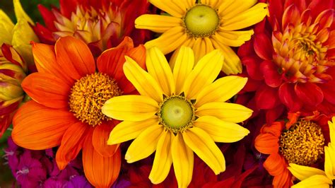 Flower Bouquet Wallpapers (70 images) - WallpaperCosmos