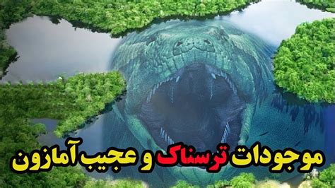 عجیب و غریب ترین حیوانات آمازون نماشا