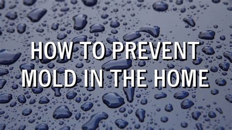 How To Prevent Mold In The Home Youtube