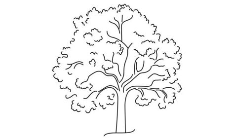 Tree Outline Vector Art, Icons, and Graphics for Free Download