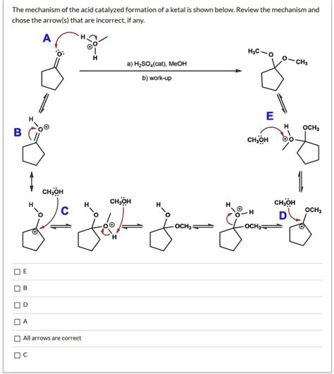 SOLVED The Mechanism Of The Acid Catalyzed Formation Of A Ketalis