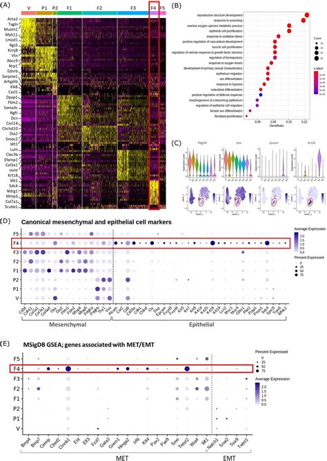 Figures And Data In Single Cell Rna Sequencing And Lineage Tracing