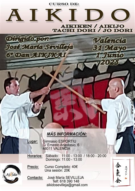 José María Sevilleja Valencia 31 de Mayo y 1 de Junio 2025 AIKIDO