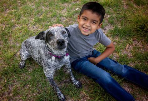 Estados Unidos El De Agosto Se Celebra El D A Nacional Del Perro