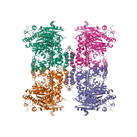 Rcsb Pdb Aga Crystal Structure Of The Helicase Domain Of Human Dna