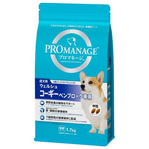 【楽天市場】 マースジャパンリミテッド Kpm45 プロマネージ 成犬用 ウェルシュ・コーギー・ペンブローク専用 17kg：ペットフォレスト