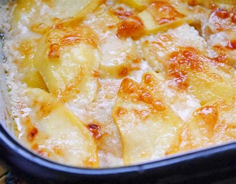 Rezept Apfel Sellerie Gratin Stadt Land Lifestyle