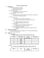 Enzyme Lab Report Outline Docx Enzymes Lab Report Outline I Ii Iii