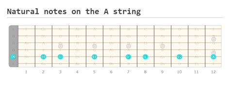 Learn The Notes on The Guitar Neck (Step-by-Step Guide) - Guitarfluence