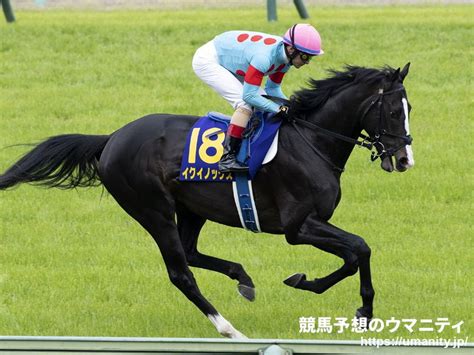 イクイノックス2019年産 競走馬データtop｜競馬予想のウマニティ