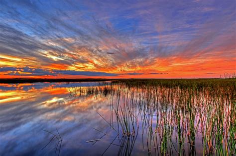 Free Images Landscape Sea Water Horizon Marsh Swamp Light