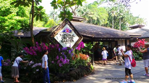 National Orchid Garden Singapore. Fabulous, spectacular blossoms.