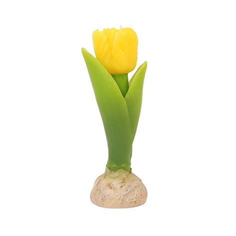 Tulip Candle By Lime Lace