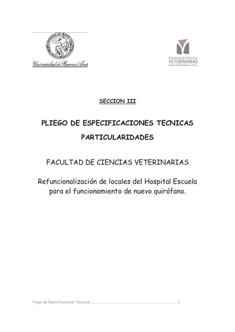 PDF PLIEGO DE ESPECIFICACIONES TECNICAS PARTICULARIDADES Pliego De